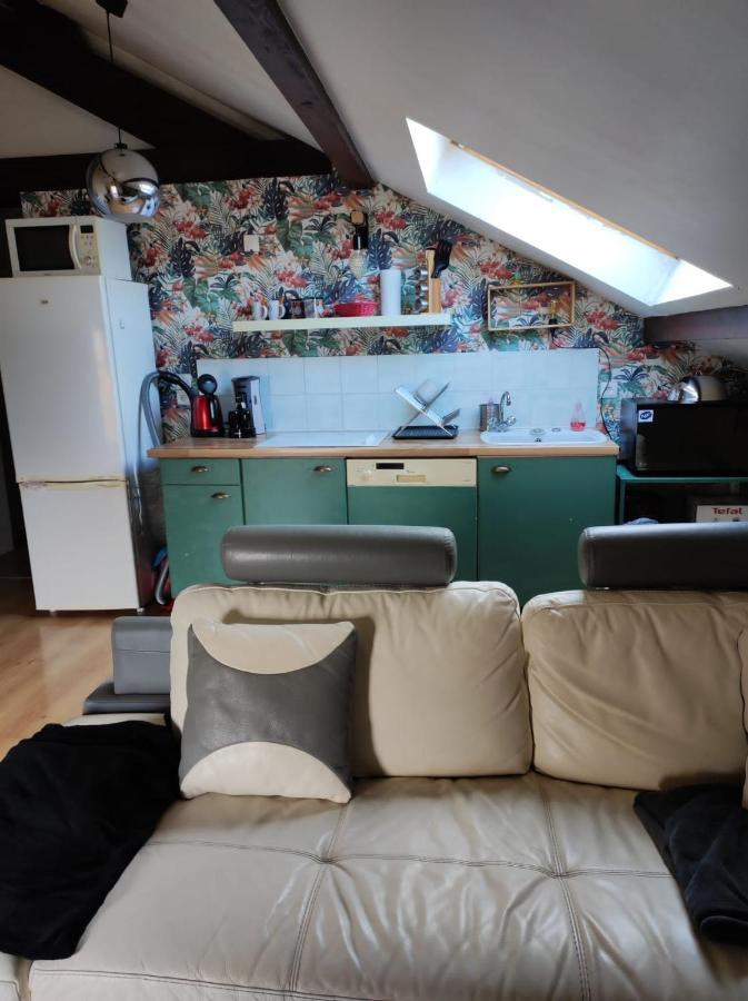 דירות Meythet Location T2 Proche Annecy מראה חיצוני תמונה